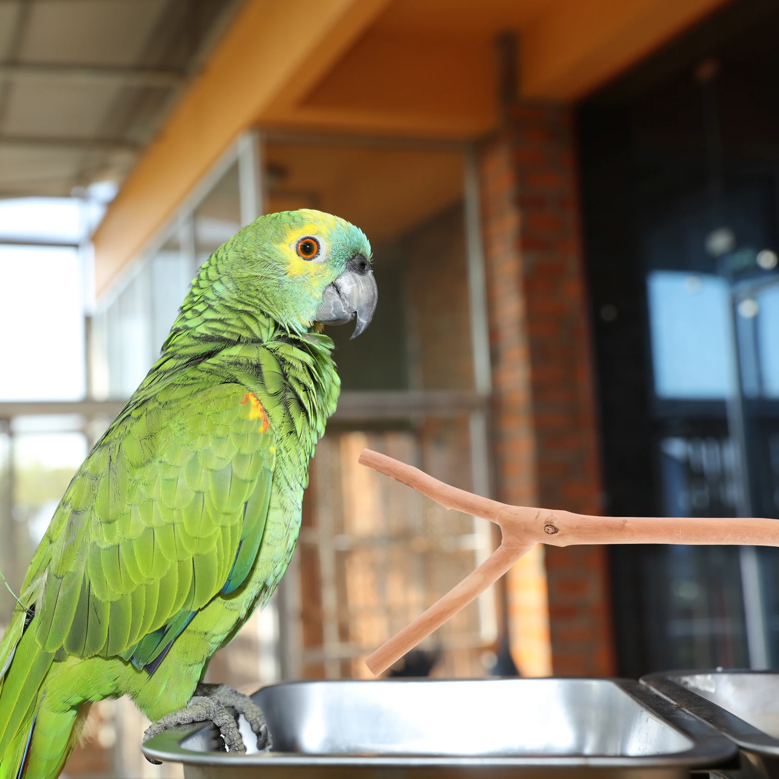 

2pcs Bird Cage Standing Poles Wooden Perch Stands For Parrot Pet Bird Exercise Natural Branch Style Rack Accessory Pet Supply