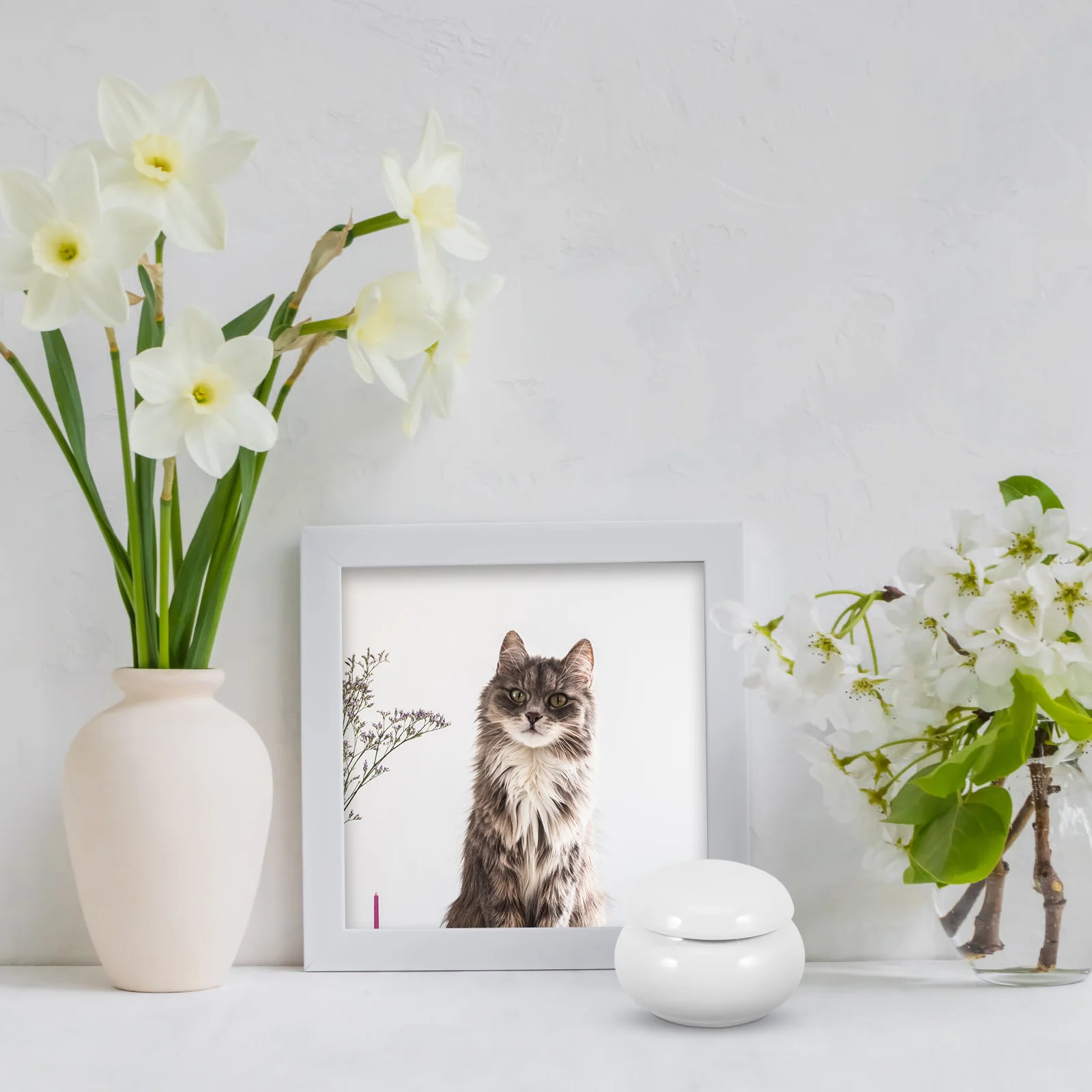 Urna de cerámica para cenizas de perro, urna para cenizas de gato adulto, Mini perros medianos y pequeños, recuerdo