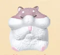 Robo dwarf hamster