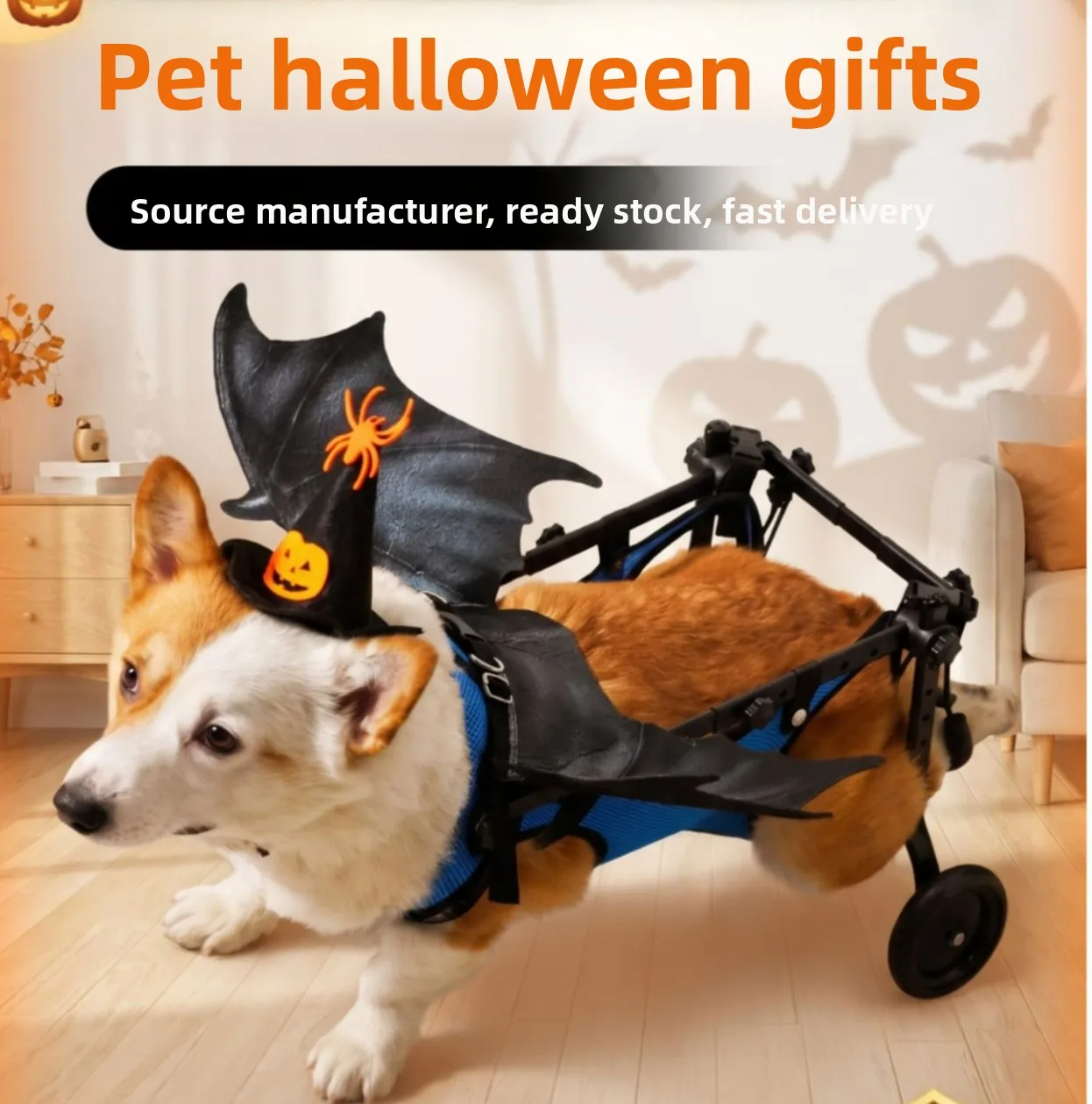 fauteuil-roulant-pour-animaux-de-compagnie-pour-chiens-de-petite-et-moyenne-taille-avec-support-pour-les-pattes-arriere-aide-a-la-mobilite-chariot