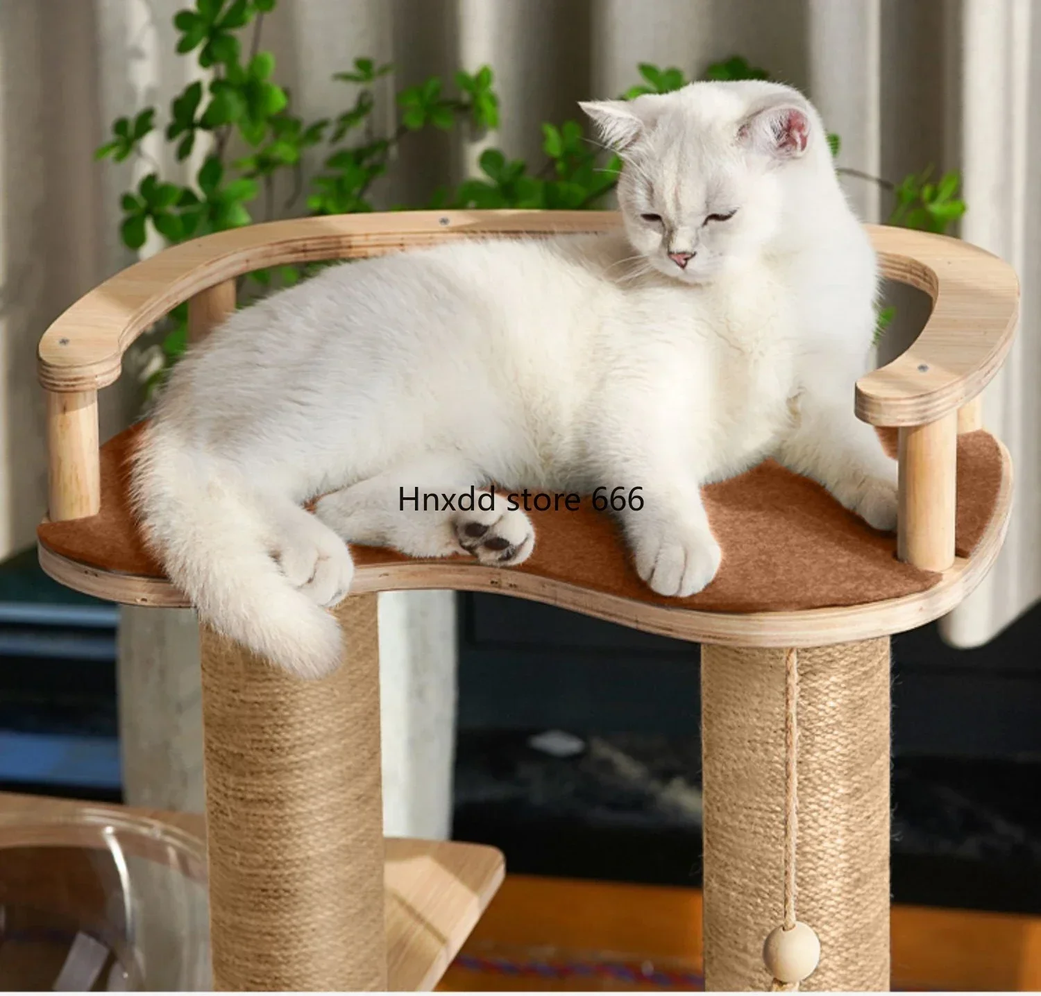 Solid wood Tongtian pillar cat shelf space capsule jumping platform cat