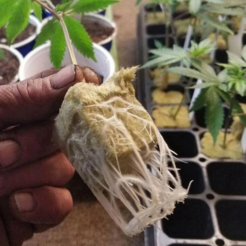 ปลูก Hydroponic Medium Block Plant Block Soilless Matrix หว่าน Rock ขนสัตว์ปลั๊กถาดต้นกล้าบล็อกการเพาะปลูก-AT64
