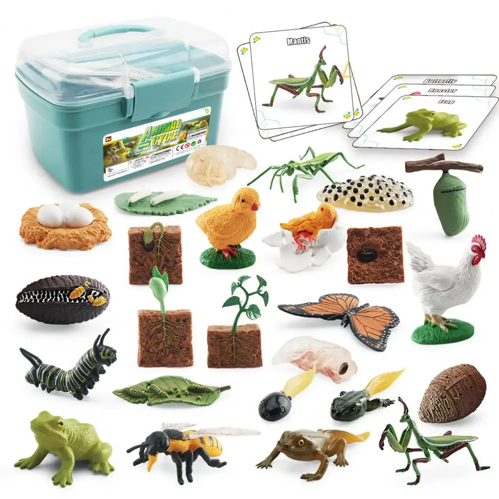 Life Cycle Toy Set Halloween or Christmas Gift Educational Life Cycle Figurines Frog Butterfly Chicken Mantis Bee Plants