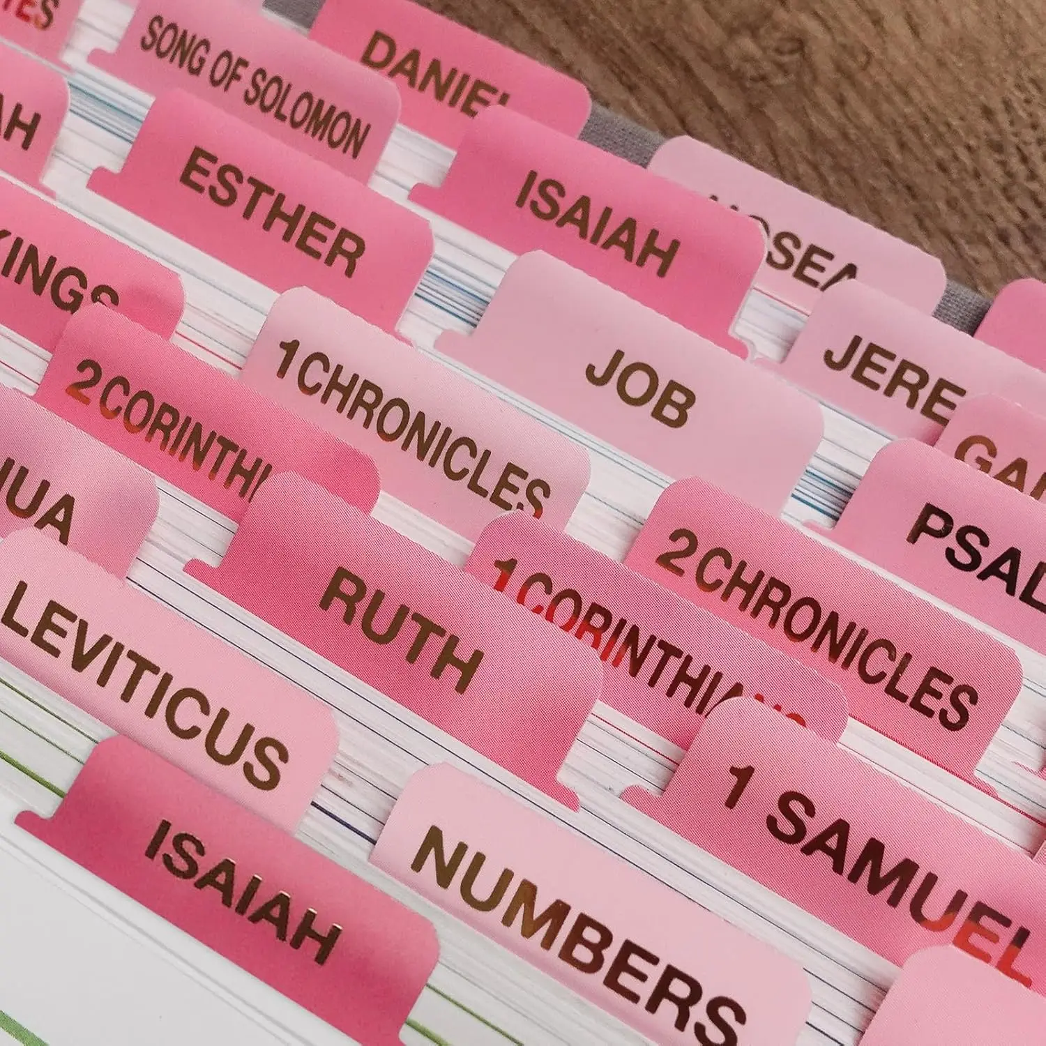 Pink Bible Tabs for Women Large Print Laminated Bible Study Supplies with Gold Gilded Lettering Book Index Tabs for Catholic