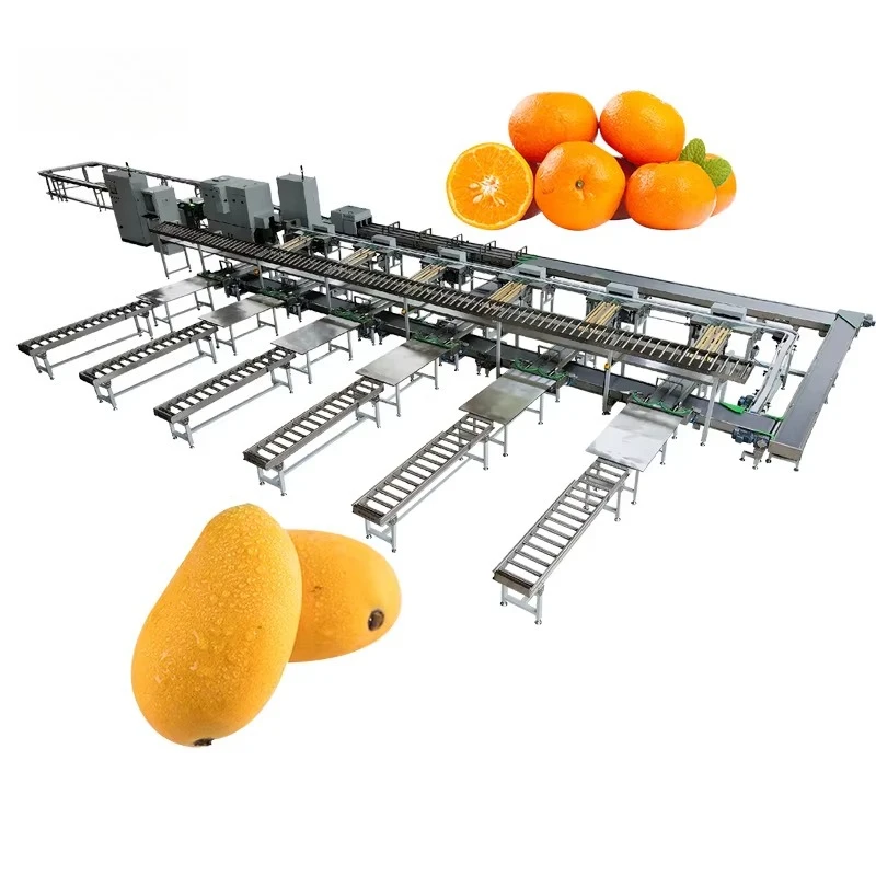 Potato Screen Grader Machinery Okra Grading and Sorter Sweet Cob Corn Sorting Machine