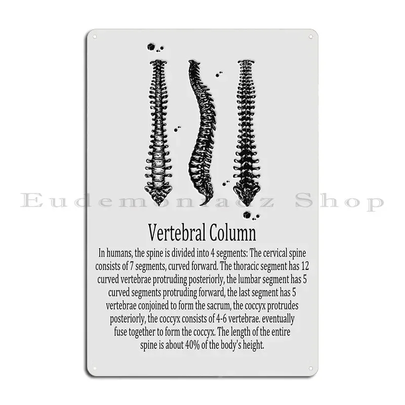 The bones of the human Vertebral Column Anatomy of human eft lateral view Metal Wall Cave Printed Party Home Tin Sign Poster
