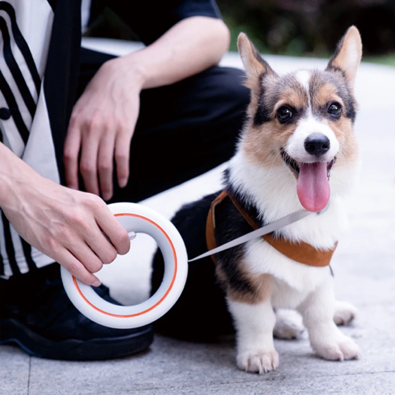 MOESTAR Retractable Dog Leash Lite Version Durable Training Walking Safety Dog Rope 3M Retraction Length for Max Pet Weight 30kg 4