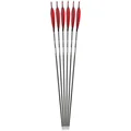 6pcs Red