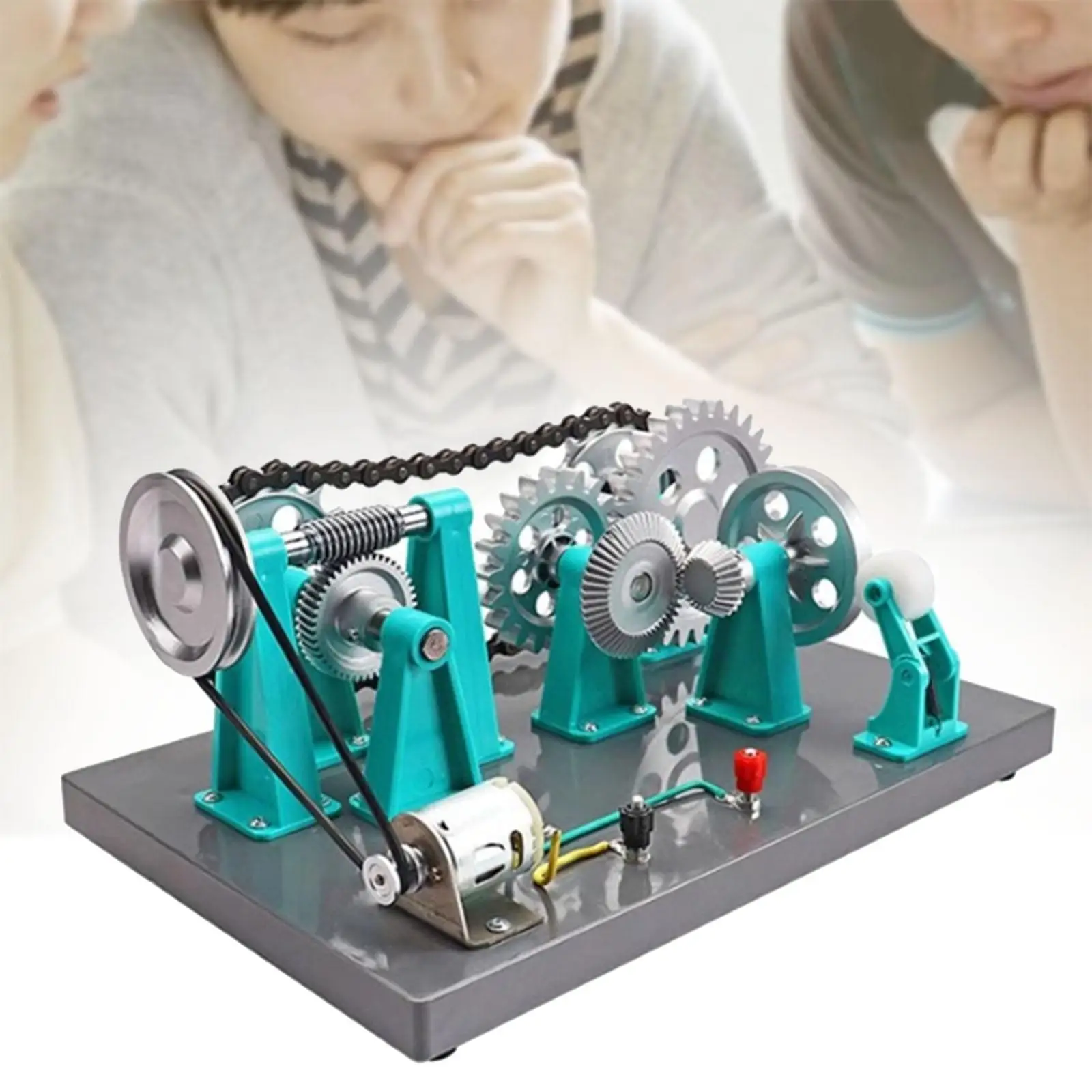 

Mechanical Gear Transmission Model Physics Demonstrations Sturdy Creative Science Teaching Equipment for Classroom School Study