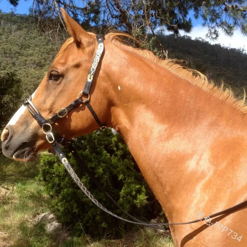 PU Leather Horses Bridle Halters Comfortable Protecting Horse Skin Horse Head Curtain Adjustable Durable Horse Rein Harness