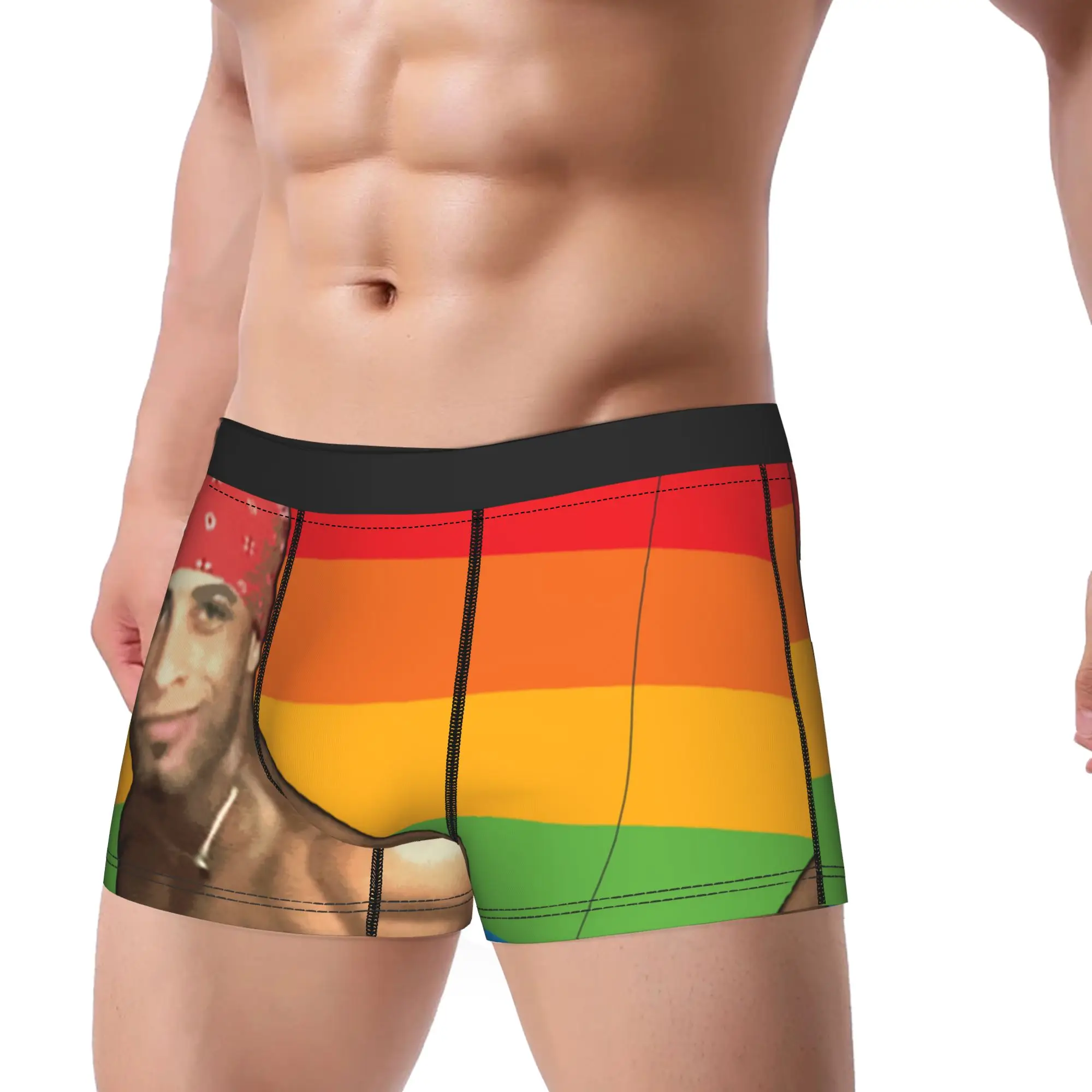 Man Boxer Briefs Shorts Panties Pride Flag Ricardo Milos LGBT Gay Rainbow Aesthetic Underwear  Male Funny M-XXL Underpants