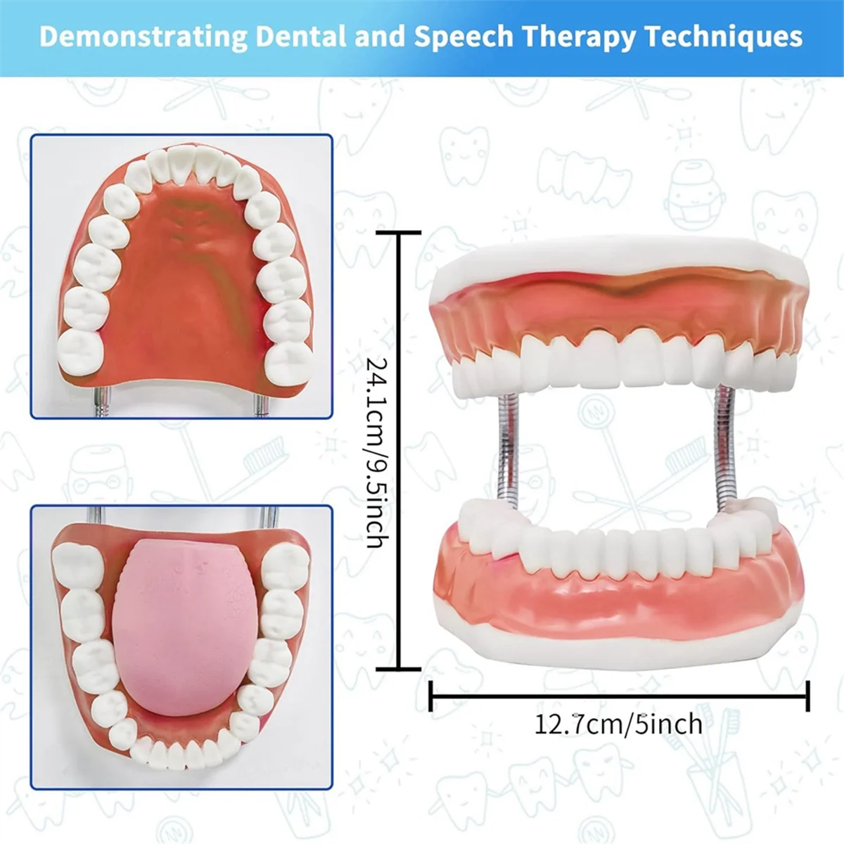 Teeth Mouth Model 6X Enlarged with Metal Hinge, Complete Set Teeth and Removable Tongue, PVC Speech Therapy Tool