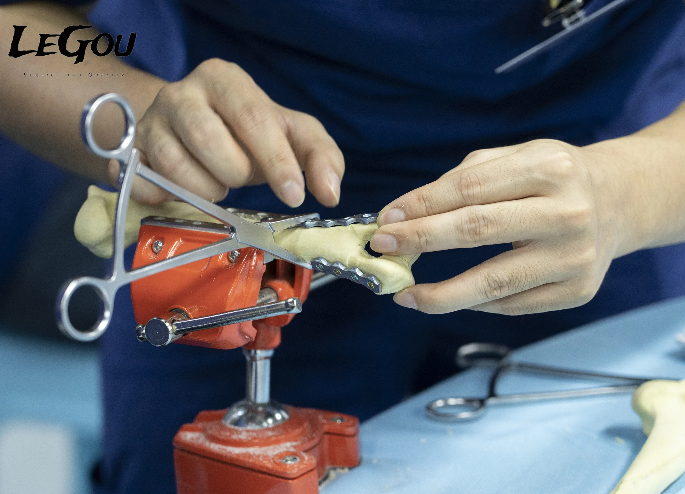 LeGou Professional Bluesao Holding Forceps Veterinary Instrument for Vet Surgery