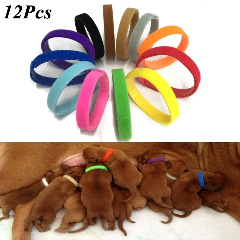 12 Pcs/Set Newborn Pet Collar Puppy Identify Collar Adjustable Nylon Small Pet Dog Collar Kitten Necklace Whelping Puppy Collars