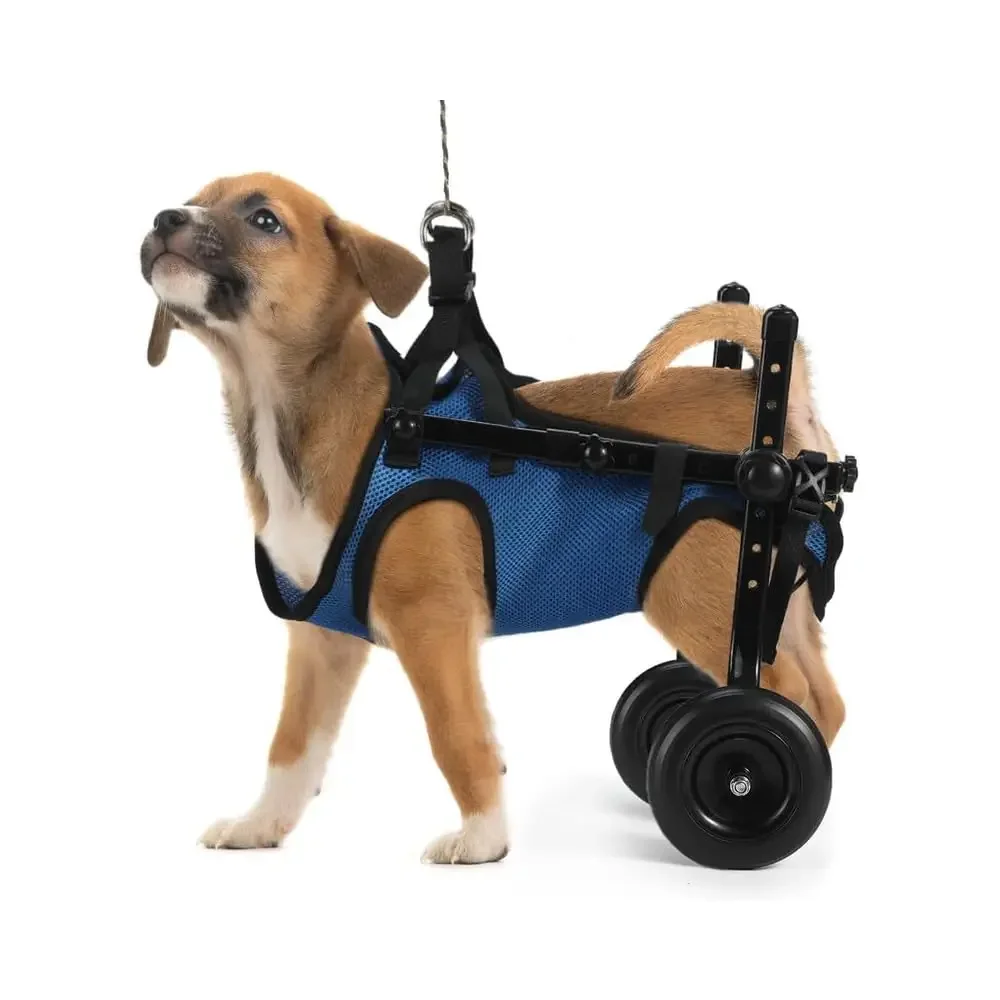 Adjustable Dog Wheelchair Pet Mobility Aid For Small Pets With Paralyzed Hind Legs Dog Rear Leg Cart Pet/Doggie Wheelchairs