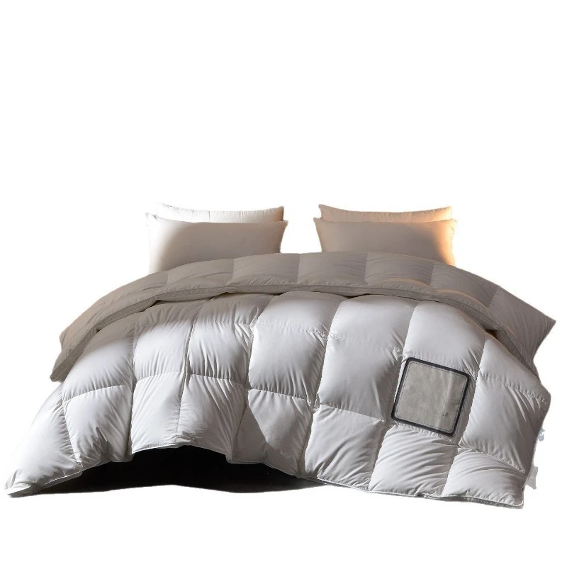 White goose down quilt core hotel thickened warm winter quilt line