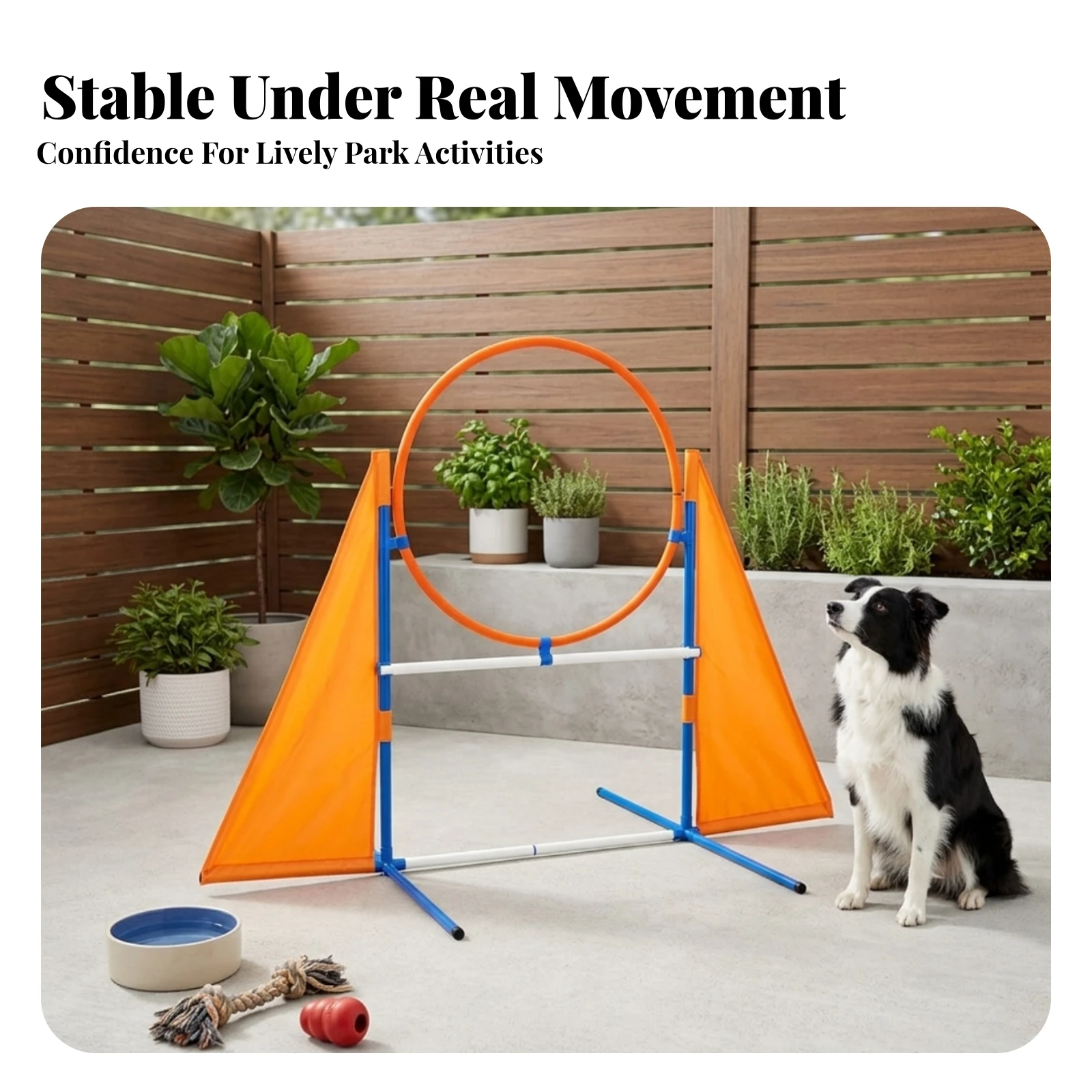 Dog Agility Hoop with Frame Adjustable Height Agility Training Obstacle with Flags Dog Jump Obstacle with Stand Easy to Set Up