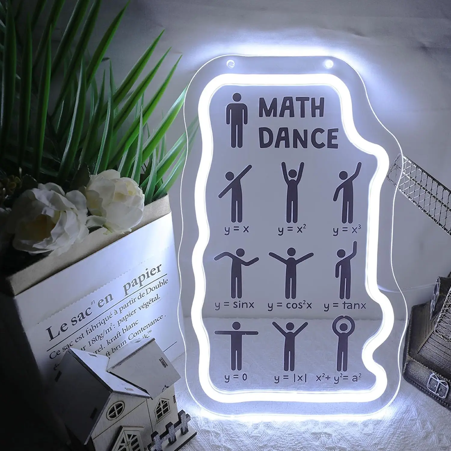 Math Dance Function Graph LED Neon Sign USB Powered Neon Light for Study Room Dorm Bedroom Christmas Wall Art Decor Gift