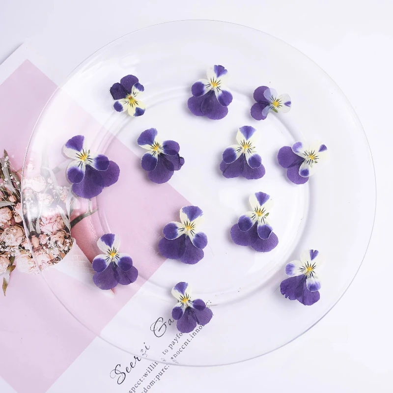 24 Stück, Natur Corydalis getrocknete Blütenblätter Make-up DIY Epoxy Handytasche Grußkarte Lesezeichen Pflanze Fotorahmen Kuchen Dekoration – Detail 1