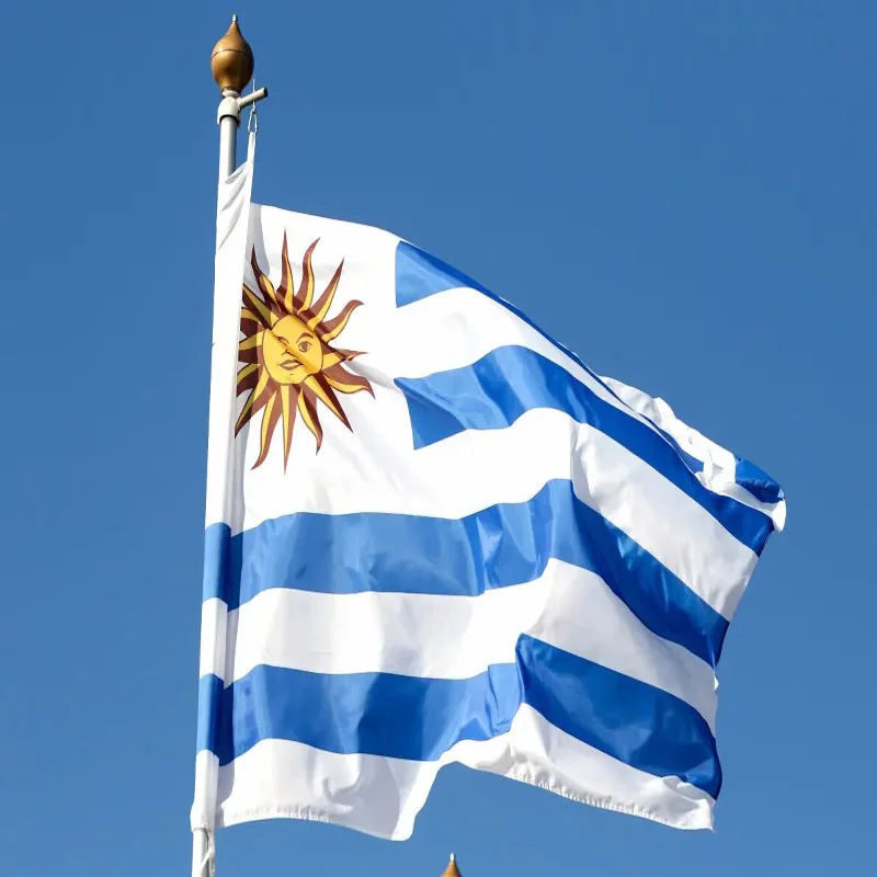 5 Pcs/lot Uruguay National Flag 90x150cm Uruguay Flag Oriental Republic of Uruguay National Flag wholesale