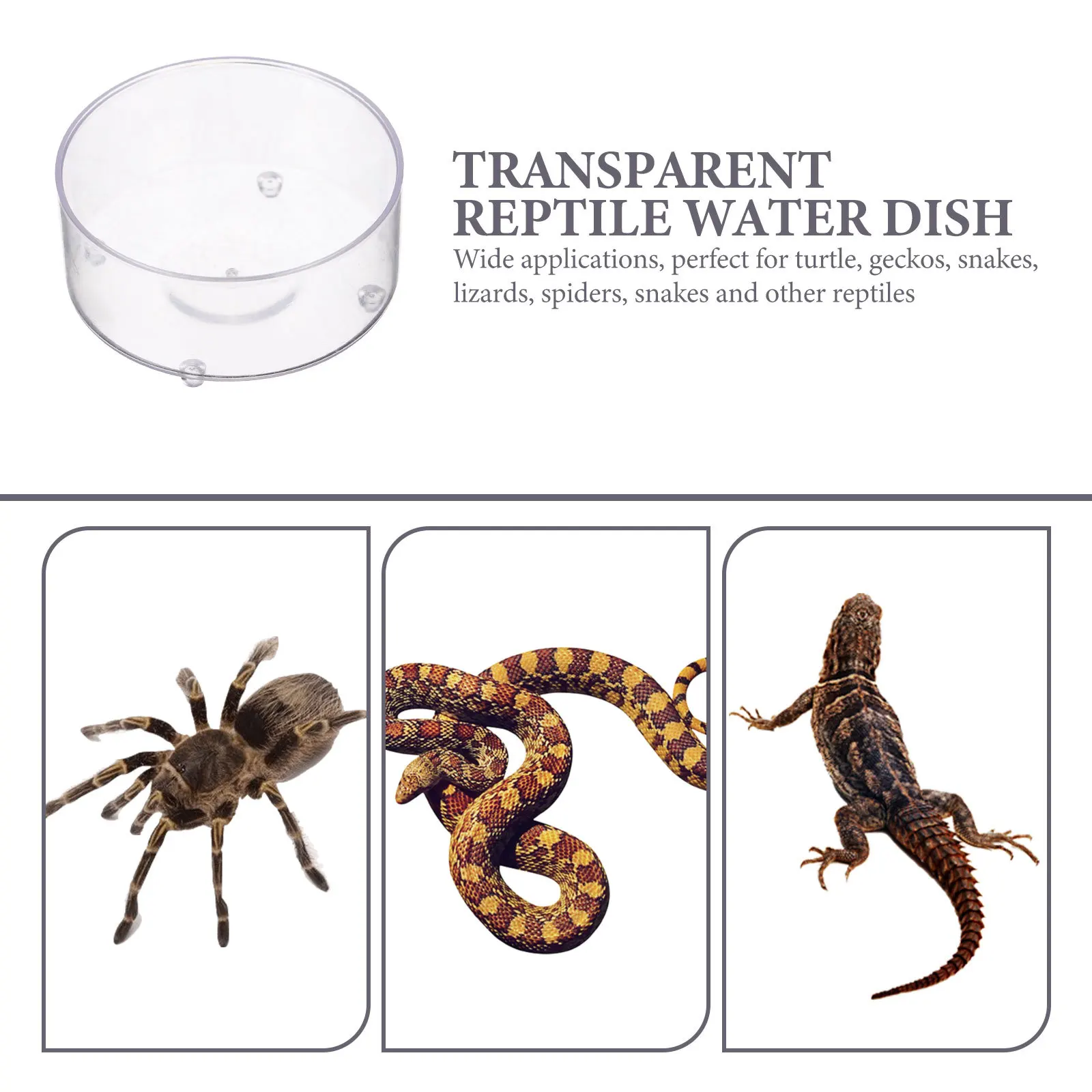 

30pcs Reptile Food Bowls Transparent Acrylic Feeding Dishes For Turtle Gecko Lizard Snake Spider Multi-Function Water Dish Tank