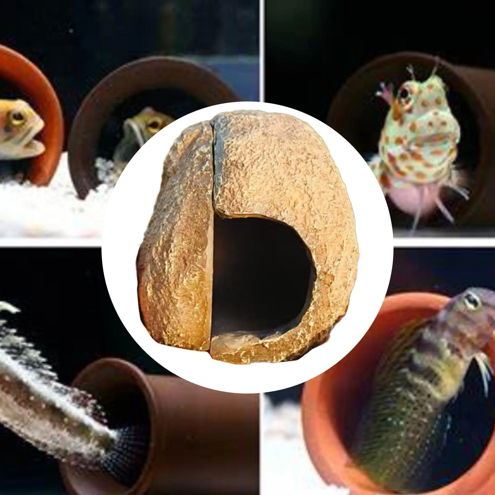 Grotte de cachette d'aquarium, grotte de cachette pour lézards, salamandres cichlidés