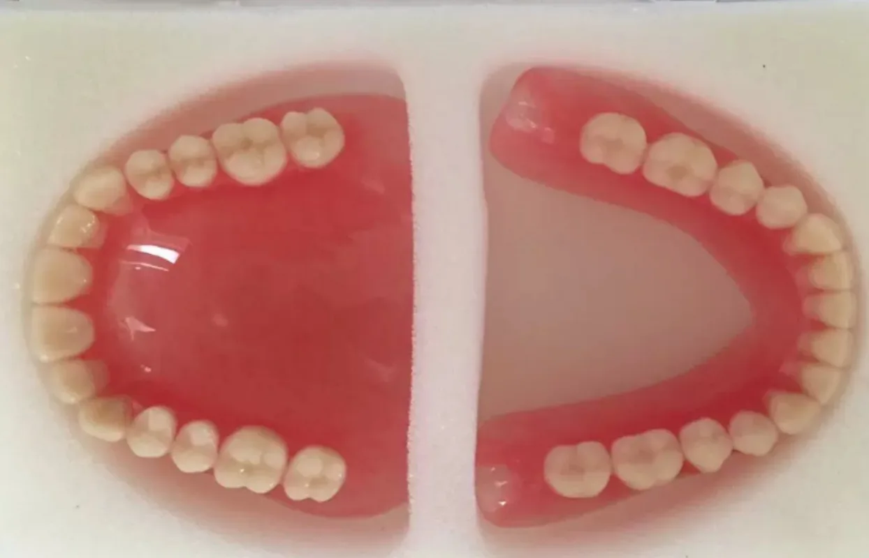 Wholesale Dental Teaching Model Full Arch & Half Arch Edentulous Jaw Model For Elderly Denture Demonstration Training Tool