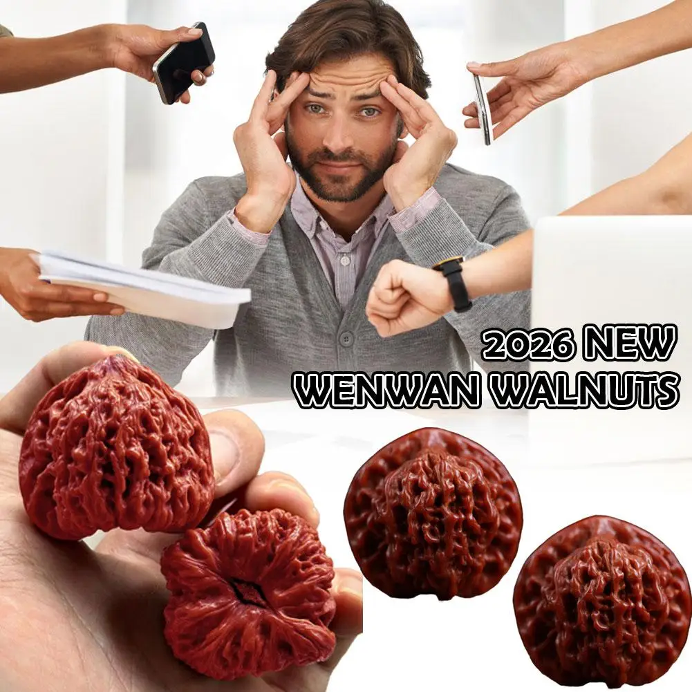 Colección Walnuts Four Buildings Lion's Pieces Color Primario KIRIN Gorra de Oficial Juguete Juglans Hop para Hombre
