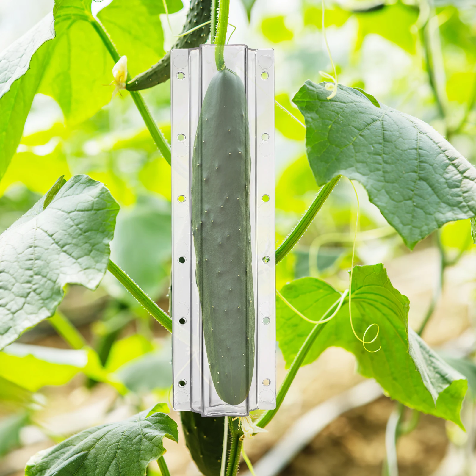 Moule à légumes, outils de mise en forme des fruits, pour la croissance des concombre, fournitures de plantation, accessoires de culture de jardin, 4 pièces