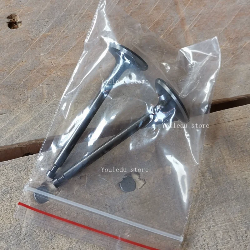 Suitable for GX100 import and export valves