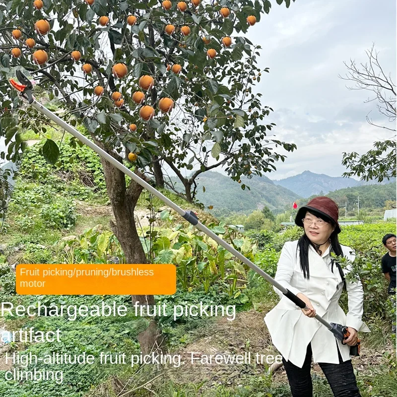 Garden Plum High Altitude Telescopic Fruit Picker Fruit Picker Ramasse Noix Recogedor De Fruta Ramasse Noix Rouleau