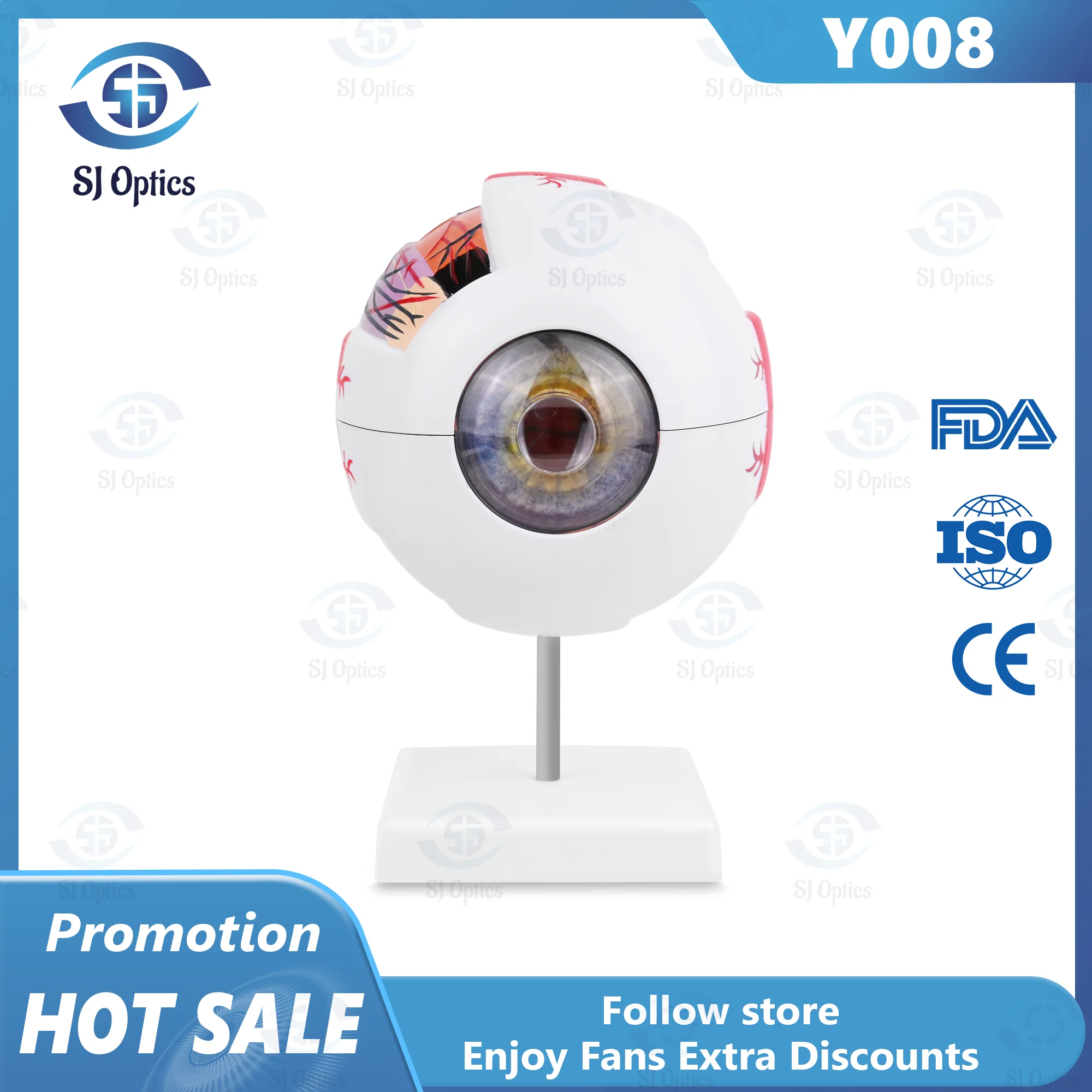 Anatomical Eye Model Eyeball Medical Learning And Teaching Instrument Cornea Eyeball Human Eye Mode Optic Nerve For Eye Teaching