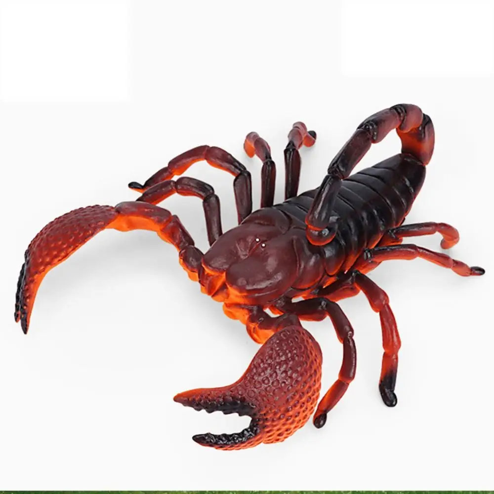 

Фигурка насекомых-пауки, имитация насекомых, коник для крикета, моделирование дикой природы, модель насекомого, коллекция животных из ПВХ