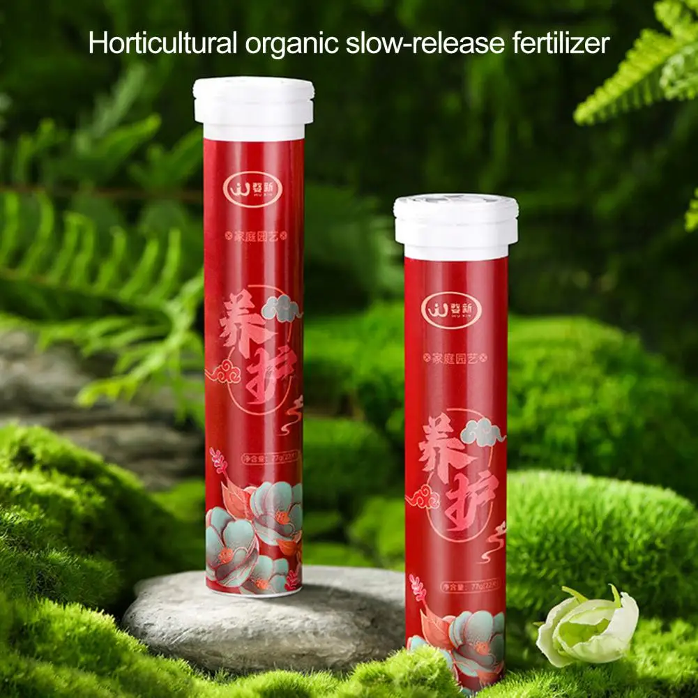 Slow-release Plant Food Fern Growth Stimulator Phytonutrients for Healthy Growth Slow-release Balanced Nutrient for Fruits