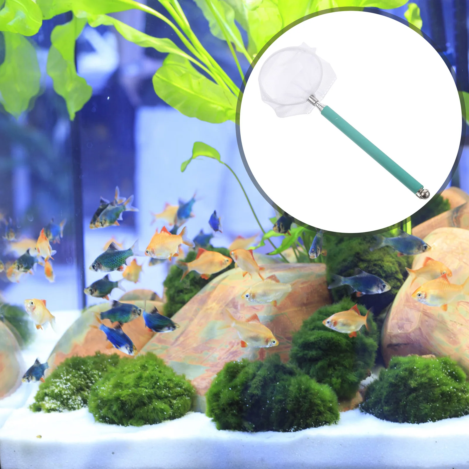 

Stainless Steel Telescopic Shrimp Net 20-55Cm Extendable Handle Fishing Net for Aquarium Fish Tanks with Wall-Hanging Hole Black