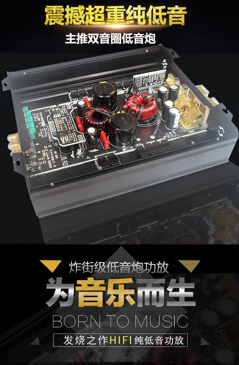الفئة D مركبة رقمية أحادية القناة عالية الطاقة نقية الثقيلة باس دفع السلبي المزدوج ملف صوتي مضخم الصوت مكبر كهربائي #4