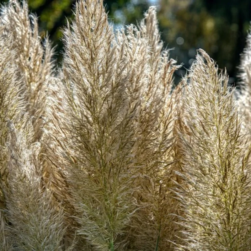 

Simulation Metal Road Guardrail for 1/14 Tractor Trailer Truck 1/18 1/24 SCX24 TRX4M 1/10 Car On-Road RC Car Upgrade Parts