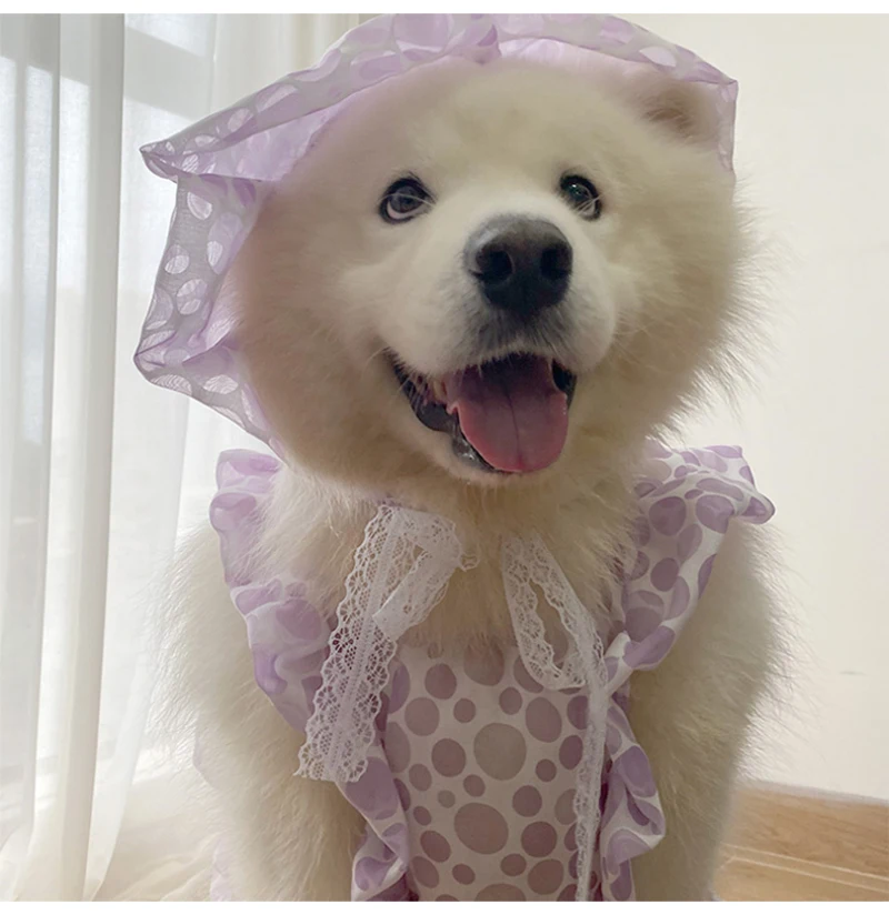 Big Dog Clothes Summer Pet Apparel Poodle Schnauzer Corgi Samoyed Husky Border Collie Golden Retriever Clothing Large Dog Dress