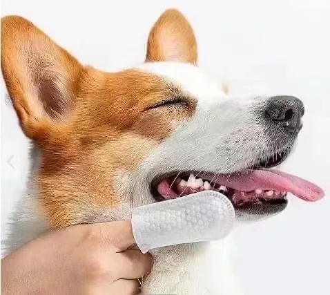 Pet Disposable Fing… - image