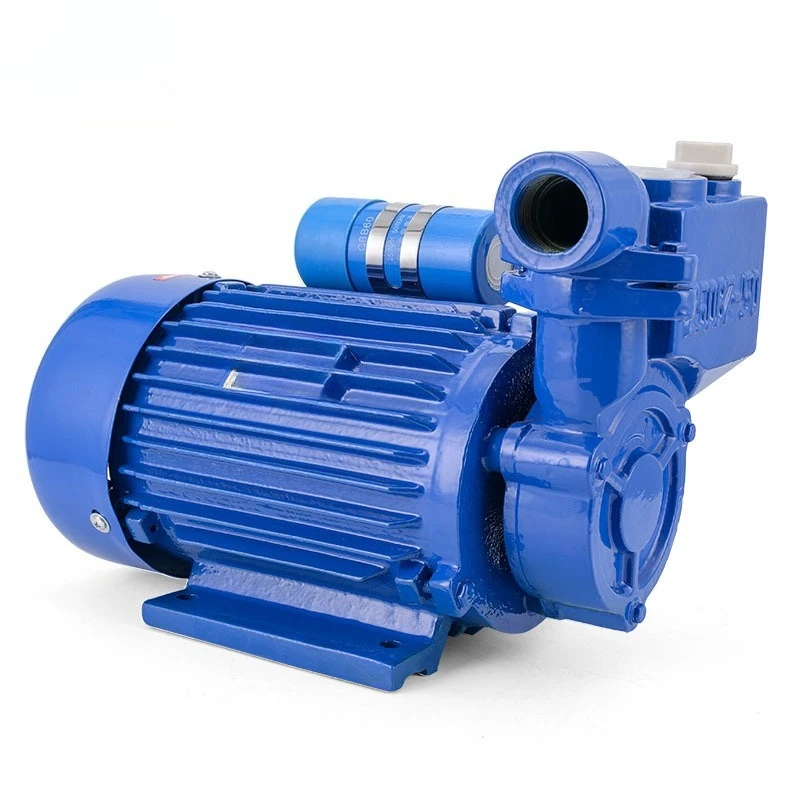 DBZ clear water type self-priming high pressure pump, single 370w high head electric pump, high power has three phases