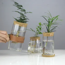 Mini hydroponiczna doniczka przezroczysta szklana wazon na rośliny Terrarium w stylu Vintage salon dekoracja do domu stół biurowy