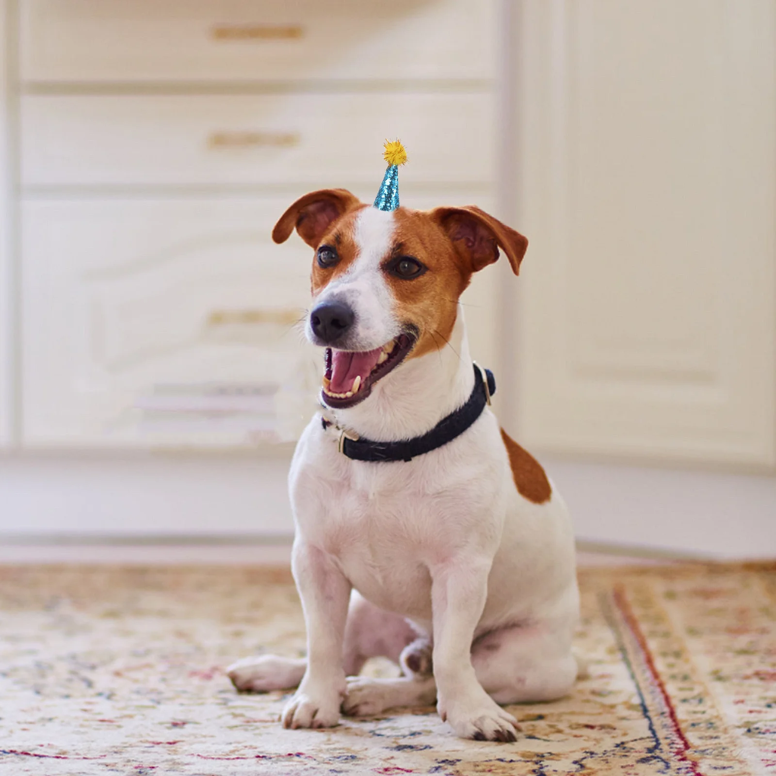 

10Pcs Pet Birthday Hat Cute Adjustable Cone Hat with Pompom for Dogs Cats Small Pet Party Cap Outfit Decorations