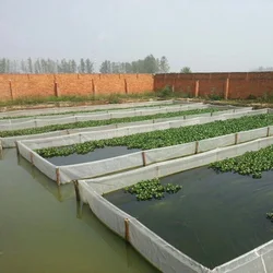 80Mesh Anti-escape Cage Aquaculture Nets Fish Culture Breeding Netting Cage Fish-farming Nylon Nets Cage Terrariums