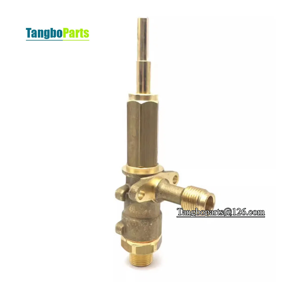 Espresso Machine Spare Parts Water Valve Steam Valve For CONTI Coffee Machine