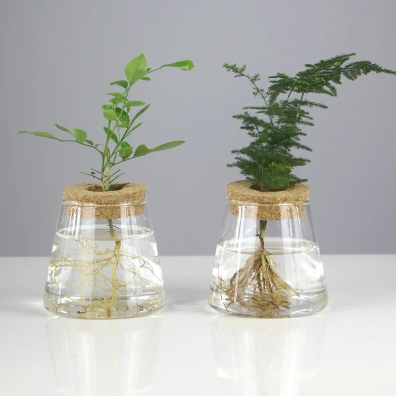 2pcs/pack Height=8.5cm Small Size Cork Lid Glass Terrarium Vase Micro Landscape Bottle Fishbowl Decoration Tea Storage Tank