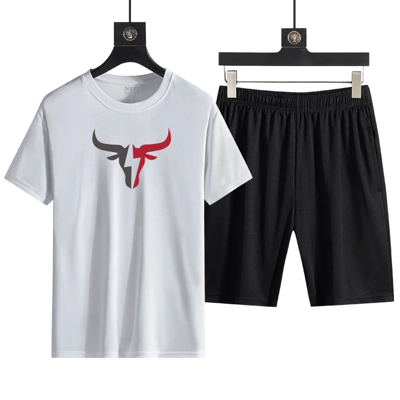 

Summer hot selling quick drying, breathable and refreshing sports loose casual short sleeved shorts, sports set, two-piece fitne