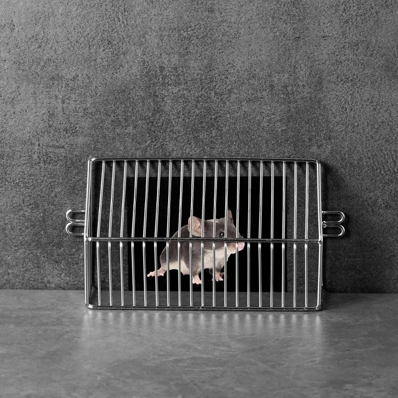 

Крышка экрана канализационного фильтра, защита от грызунов и листьев деревьев, угловая дренажная канавка на крыше, балкон, слив в пол на крыше