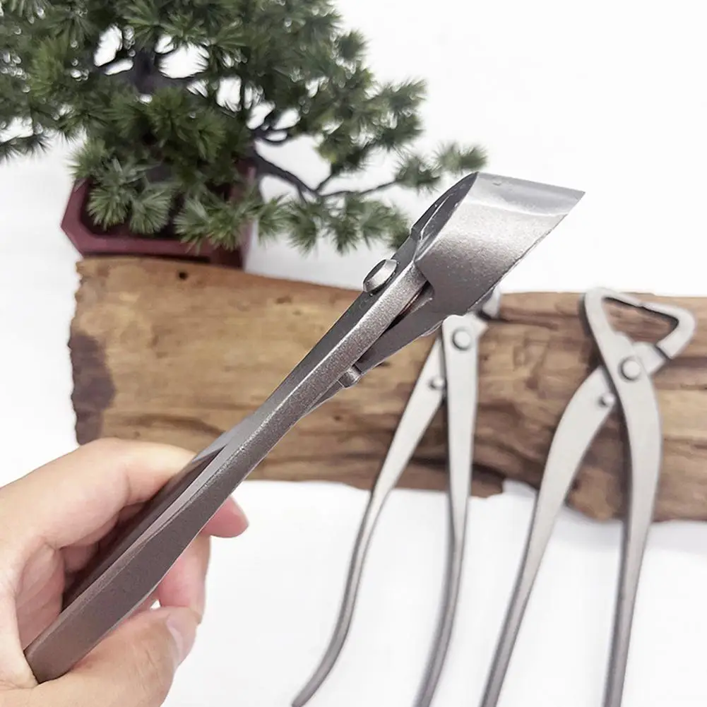 Easy-to-use Bonsai Trimming Tools Spherical Round Cutter for Bonsai Stainless Steel Bonsai Pruning for Precision for Healthy