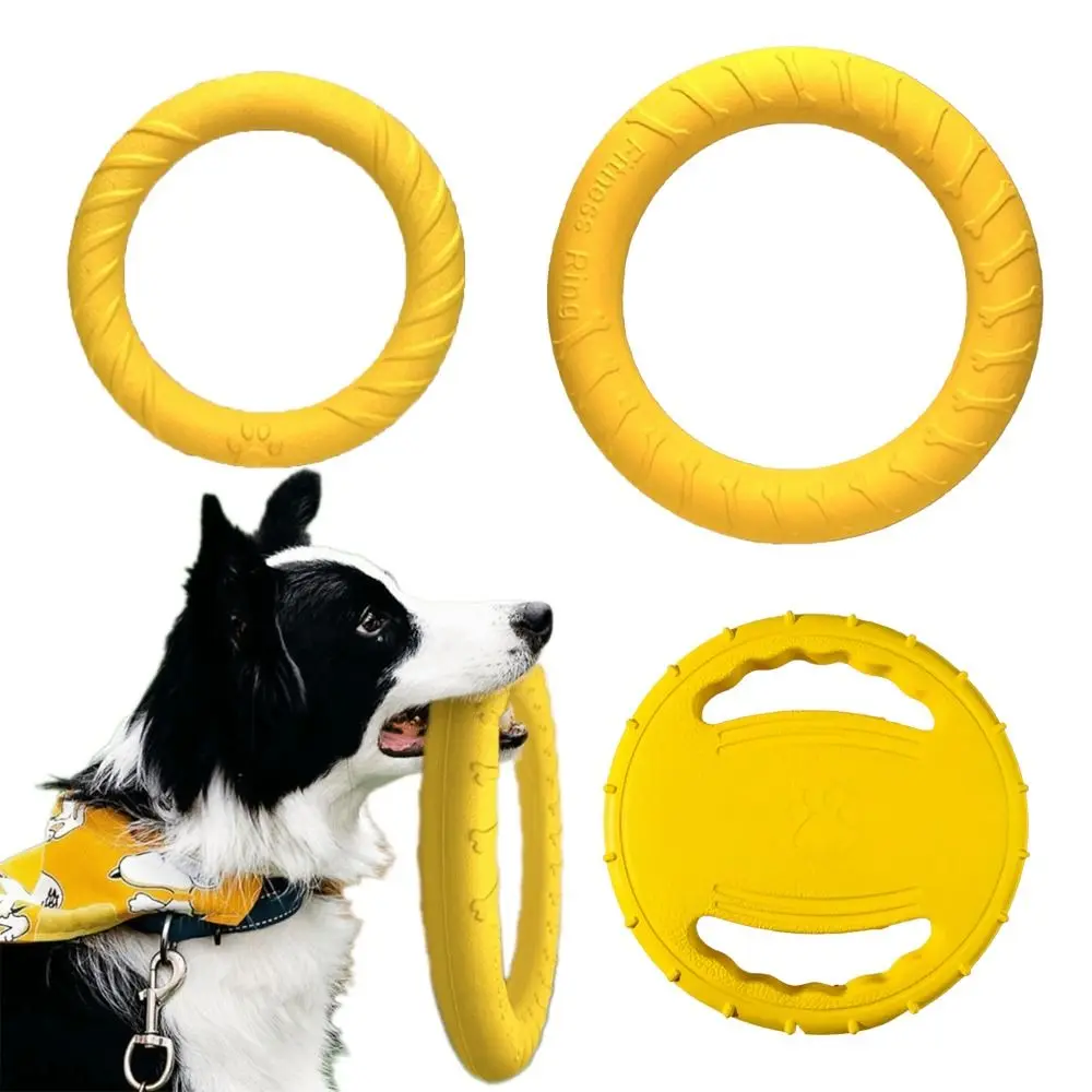 Ensemble de jouets d'extérieur pour chiot, disque volant flottant en EVA, anneau durable résistant aux morsures, jouet à mâcher pour l'entraînement des chiens, jeu interactif pour animaux de compagnie