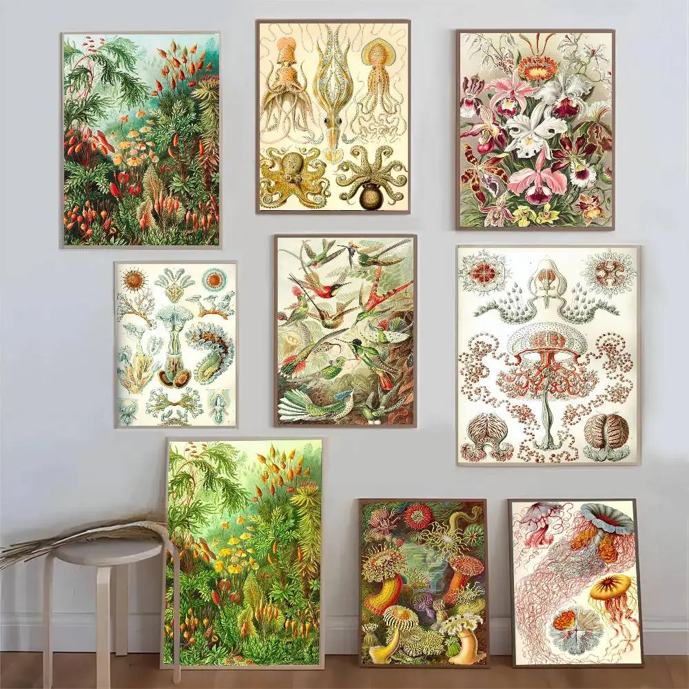 Ernst Haeckel Biology Art Sticky Wall Waterproof Home Living Room Bedroom Bar Aesthetic Decoration